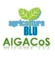 AIGACoS logo