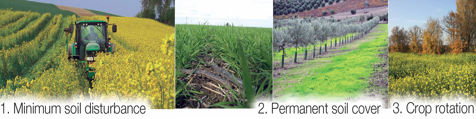 Minimum soil disturbance, permanent soil cover, crop rotation